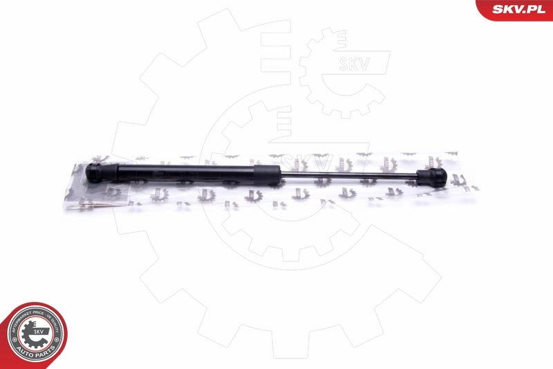 Gas Spring, boot/cargo area